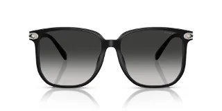 Coach Sunglasses HC8413BD