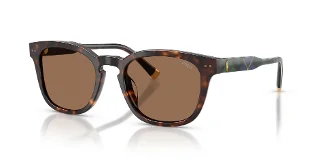 562573 Shiny Havana