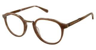 C02 Brown Horn