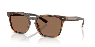 616173 Warm Tortoise