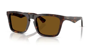 300283 Dark Havana