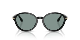 Giorgio Armani Sunglasses AR8237F