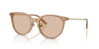 Jimmy Choo Sunglasses JC5056JD