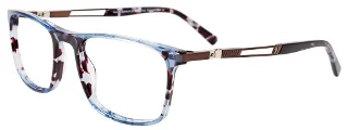 050 Blue Tortoise