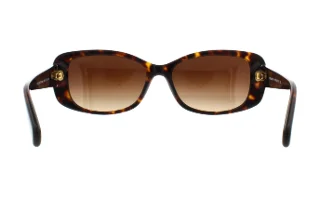 Coach Sunglasses HC8168 L156