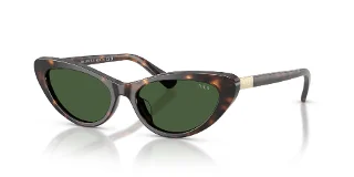 500371 Shiny Dark Havana
