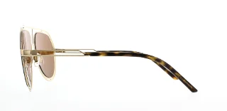 Dolce & Gabbana Sunglasses DG2176