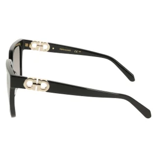 Salvatore Ferragamo Sunglasses SF2109S