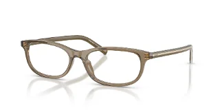 18T1O1 Transparent Terra