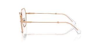 Swarovski Eyeglasses SK1011