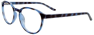 050 Blue Tortoise
