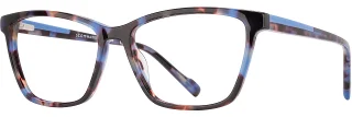 C02 Blue Tortoise
