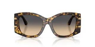 Dolce & Gabbana Sunglasses DG4501