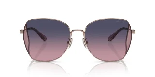 Coach Sunglasses HC7158D