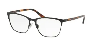 Polo Eyeglasses PH1184