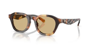 20660R Contrast Tortoise