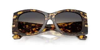 Dolce & Gabbana Sunglasses DG4501