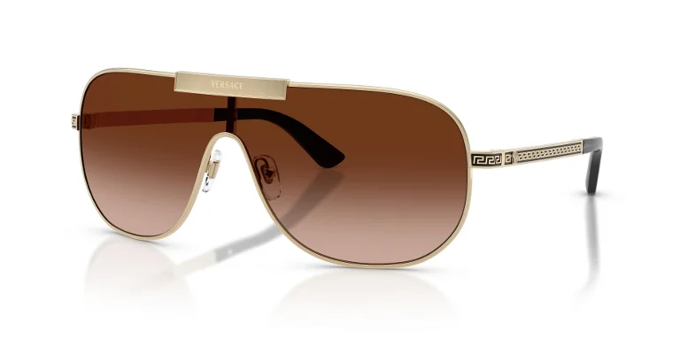 Versace Sunglasses VE2293