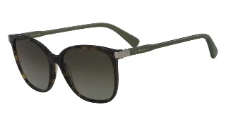 213 Dark Havana