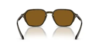 Giorgio Armani Sunglasses AR8220F