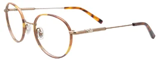 010 Brown Tortoise & Light Brown