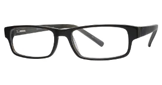 024 Tortoise