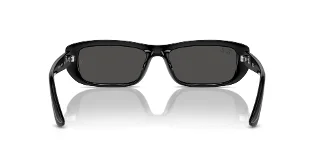 Ray Ban Sunglasses RB4436D