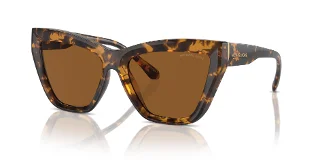 300673 Dark Tortoise