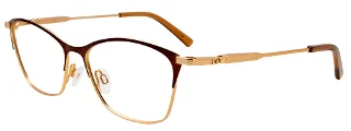 Easyclip Eyeglasses EC541