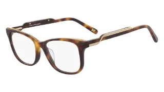 240 Soft Tortoise