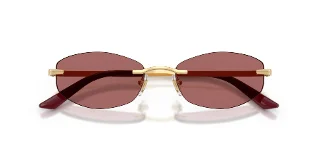 Versace Sunglasses VE2308D