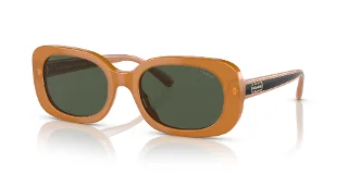 Coach Sunglasses HC8358F