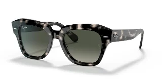 133371 Gray Havana