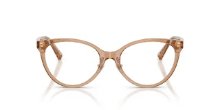 Jimmy Choo Eyeglasses JC3047F