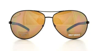 Harley Davidson Sunglasses HDX 844