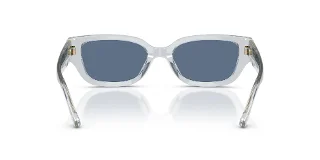Coach Sunglasses HC8439U