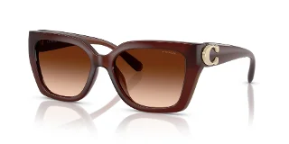 584174 Milky Hazelnut