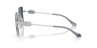 Coach Sunglasses HC7177B