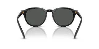 Polo Sunglasses PH4221