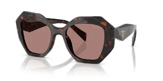17N60B Root Tortoise