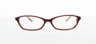 Polo Eyeglasses PP8501