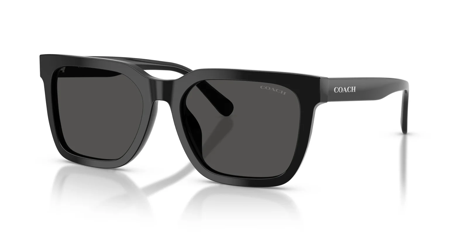 Coach Sunglasses HC8466U