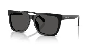 Coach Sunglasses HC8466U