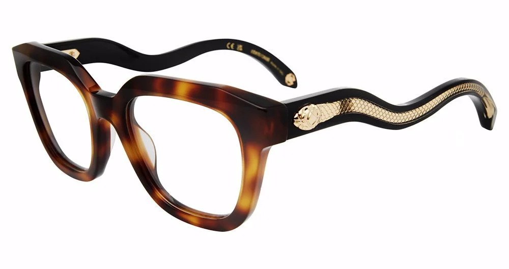 Roberto Cavalli Eyeglasses VRC071