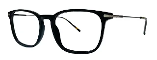 Stetson Eyeglasses Stainless Steel 606