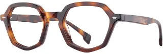 C04 Tortoise