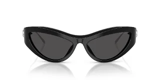 Swarovski Sunglasses SK6046