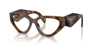 20D1O1 Juniper Tortoise
