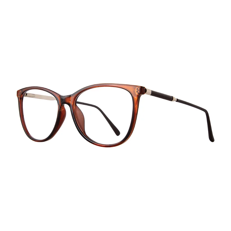 Stylewise Eyeglasses SW462