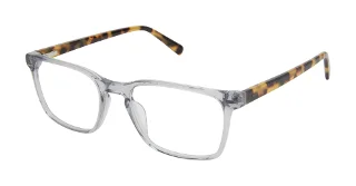 Ted Baker Eyeglasses TM008